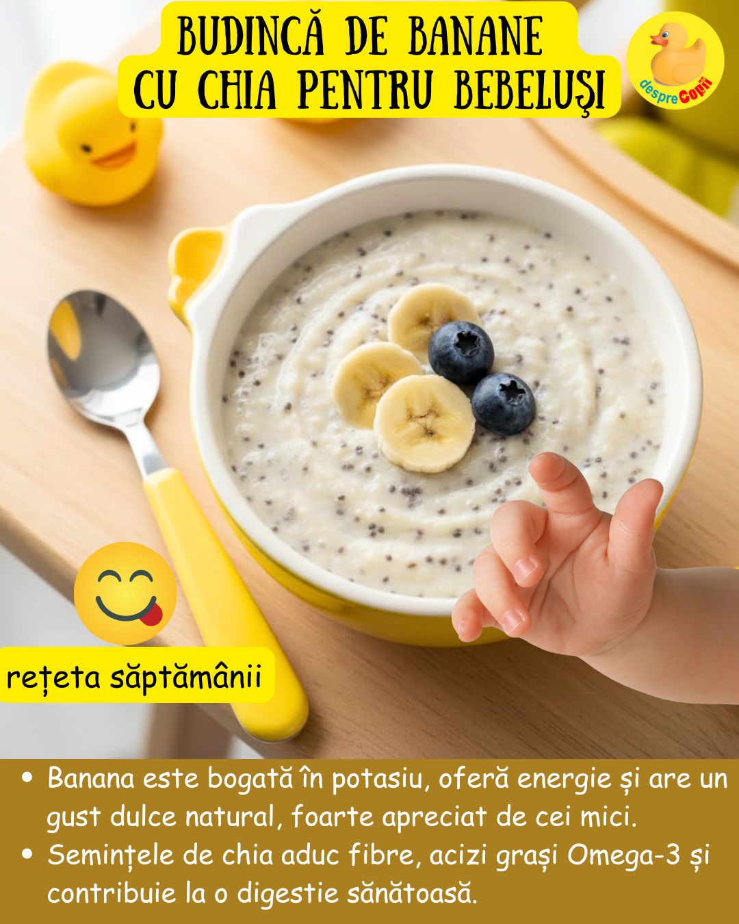 budinca chia bebelusi 